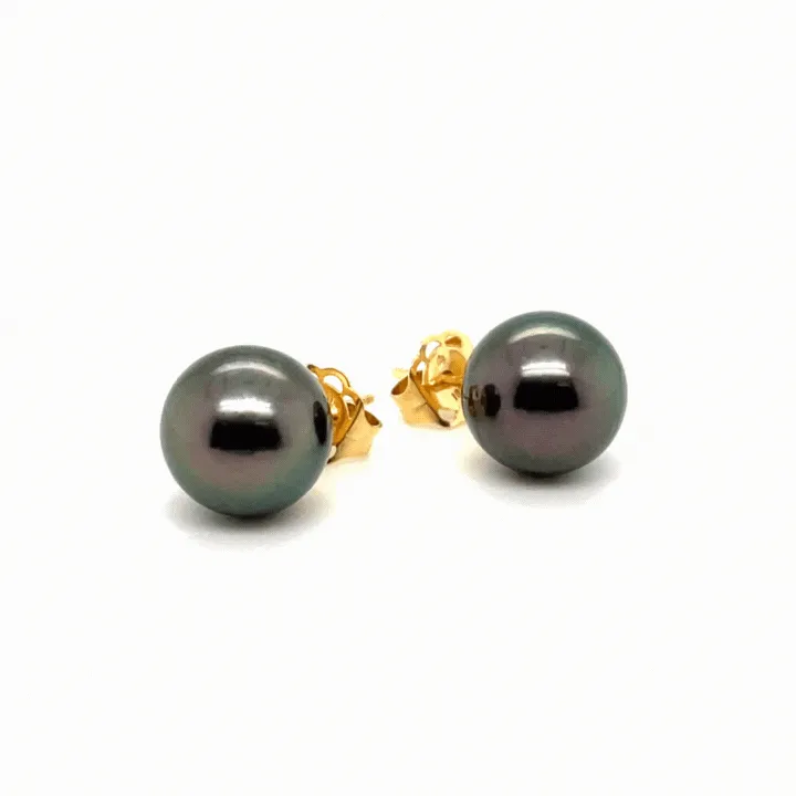 18K Yellow Gold Tahitian Cultured Pearl Stud Earrings