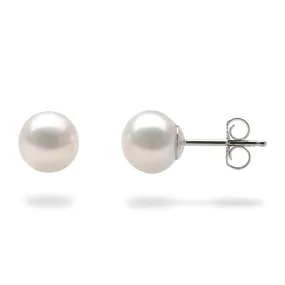 Akoya White Pearl Earrings in White Gold - 7mm