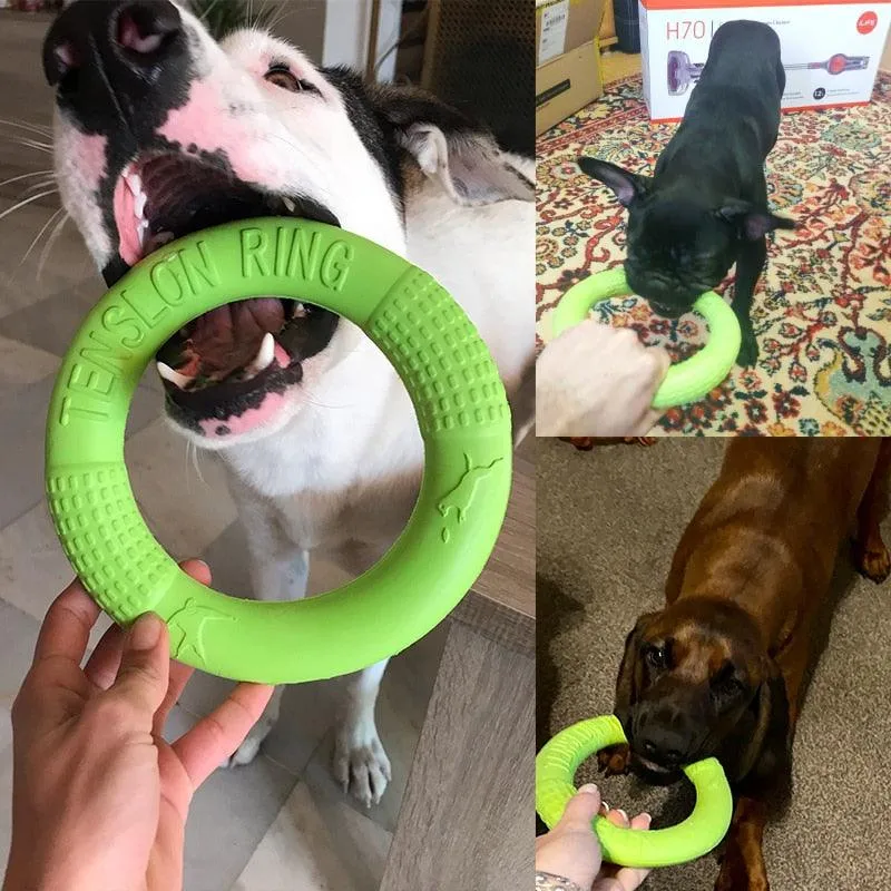 EVA Interactive Dog Training Ring Puller/Flying Disc