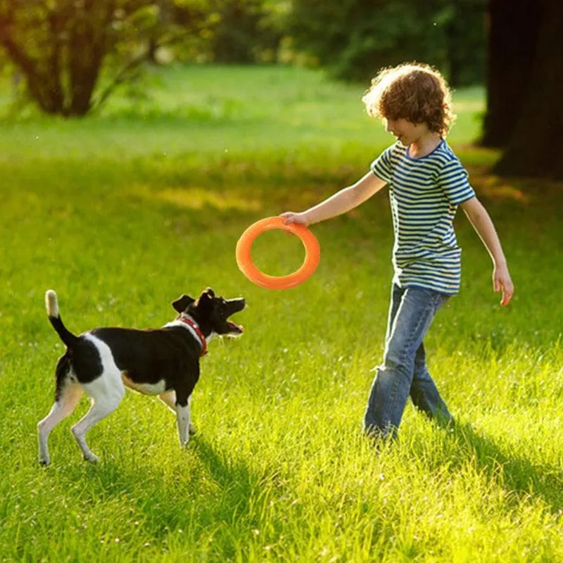 EVA Interactive Dog Training Ring Puller/Flying Disc