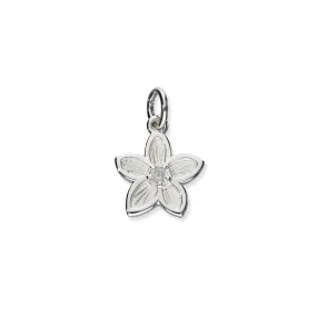 Happy Valley Silver Charm C310 Cubic Zirconia