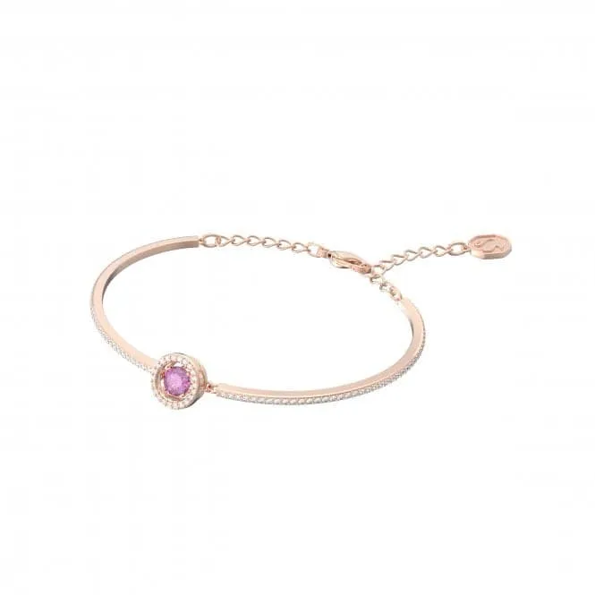 Sparkling Puple Fancy Purple Bangle 5620554