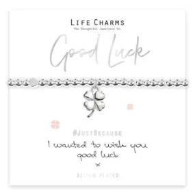 Wish You Good Luck Bracelet - Silver